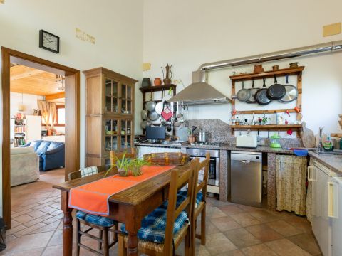 Località Le Piattaie - Rosignano Marittimo