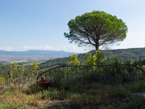 Località Le Piattaie - Rosignano Marittimo