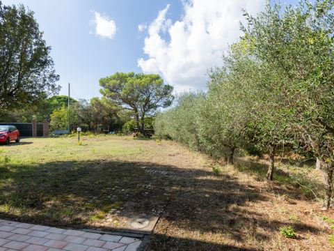 Località Le Piattaie - Rosignano Marittimo