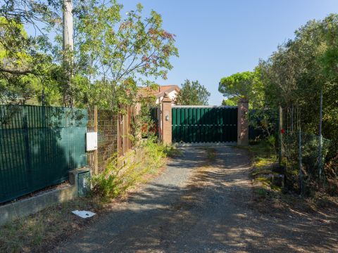 Località Le Piattaie - Rosignano Marittimo