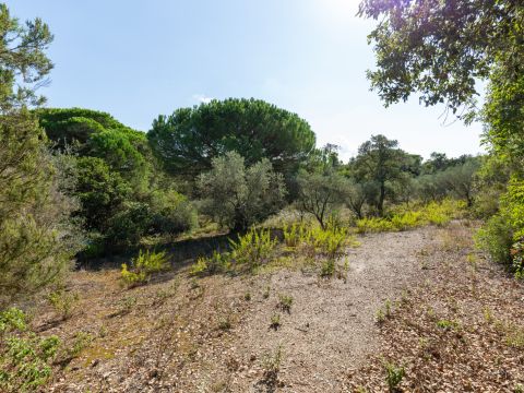 Località Le Piattaie - Rosignano Marittimo