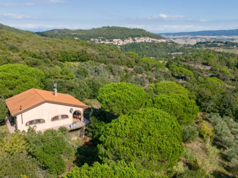 Località Le Piattaie - Rosignano Marittimo