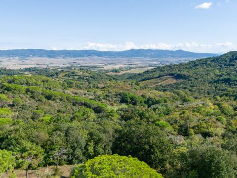 Località Le Piattaie - Rosignano Marittimo