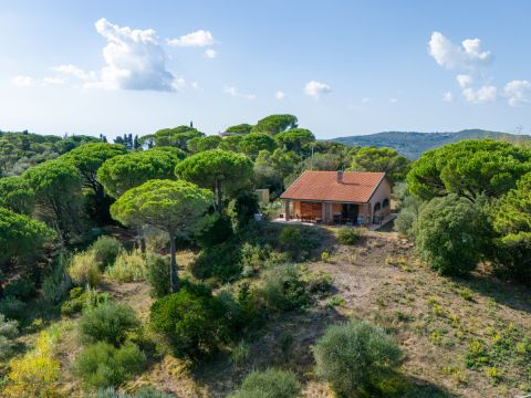 Località Le Piattaie - Rosignano Marittimo