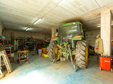 Località Le Piattaie - Rosignano Marittimo