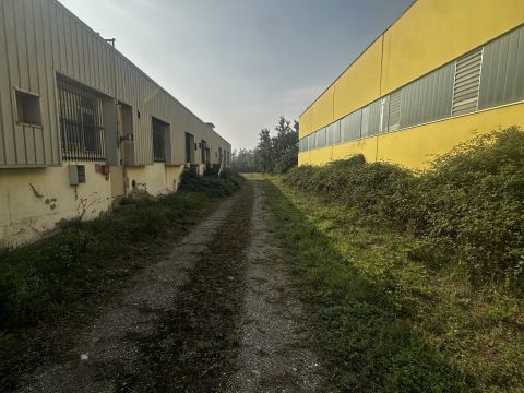 Via Novi, 44 - Basaluzzo
