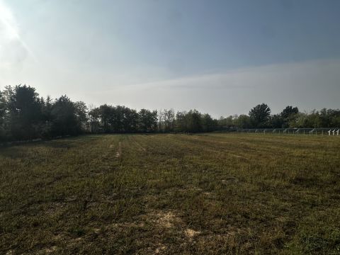Via Novi, 44 - Basaluzzo