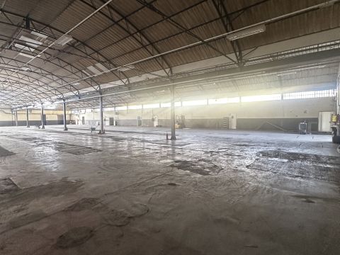 Via Novi, 44 - Basaluzzo