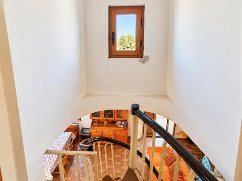 Corso del Tirreno - Santa Maria Del Cedro