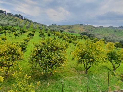 SS107 ( Via delle acacee 6/8)
