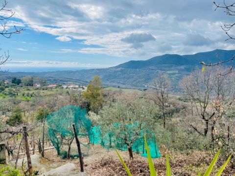 Via Mirabella,10