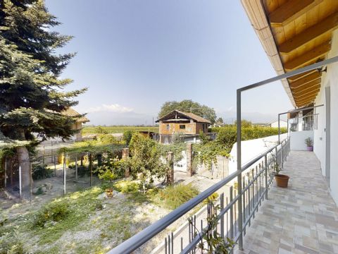 Frazione Zucchea, 8