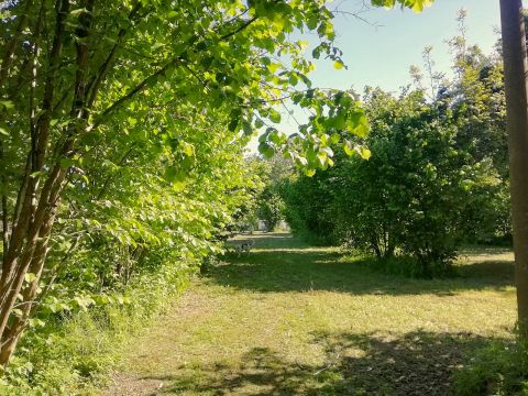 Frazione Zucchea, 8
