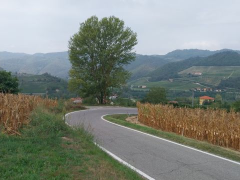 Regione San Eusebio 2