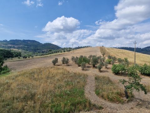 Via Martiri di Nassirya - Catanzaro