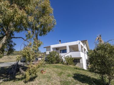 Villa in vendita