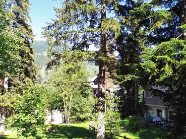 Bilocale in affitto