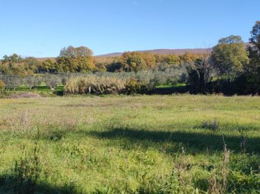 Terreno residenziale in vendita