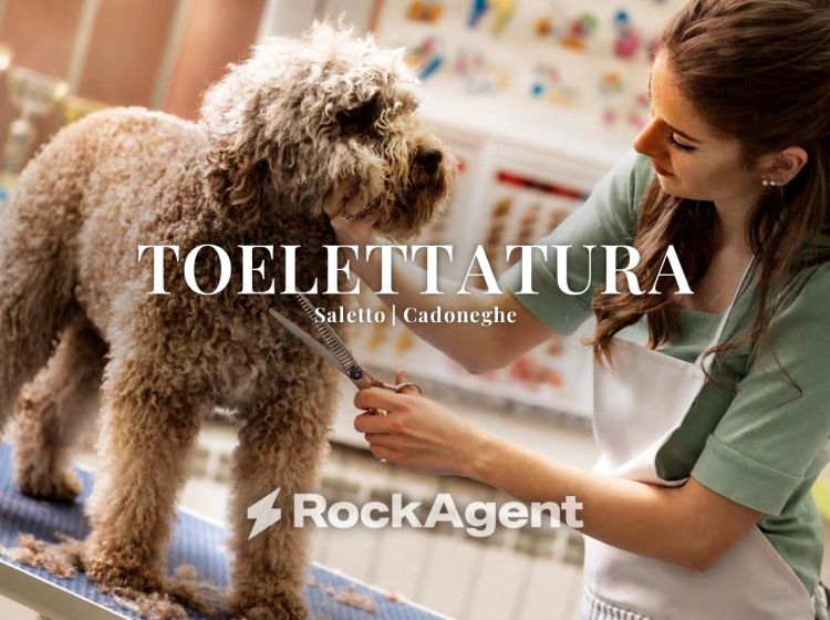 Attività / Licenza in vendita, Saletto, Cadoneghe