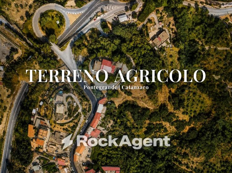 Terreno agricolo in vendita, via Ettore Vitale, Pontegrande, Catanzaro