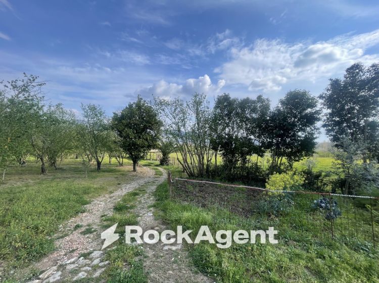 Terreno agricolo in vendita, Contrada Salella, Campigliano, San Cipriano Picentino