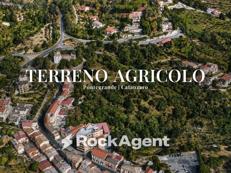 Terreno agricolo in vendita, via Ettore Vitale, Pontegrande, Catanzaro