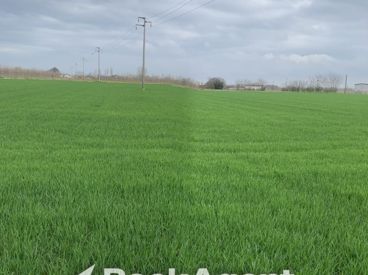 Terreno residenziale in vendita, via Grazia Deledda, Canneto Sull'oglio