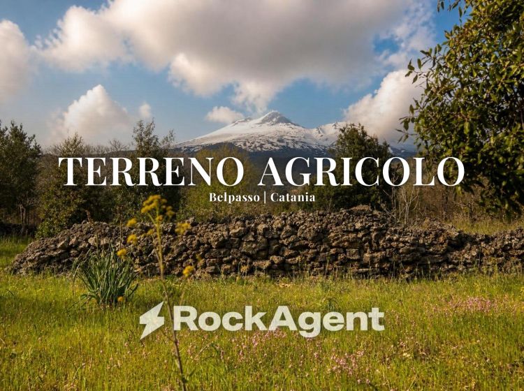 Terreno agricolo in vendita, Campo Nessunescluso  Segreta  Belpasso CT  Italia, Belpasso