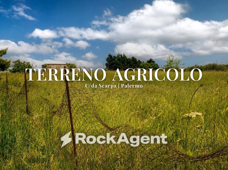 Terreno agricolo in vendita, Contrada Scarpa, Villafrati
