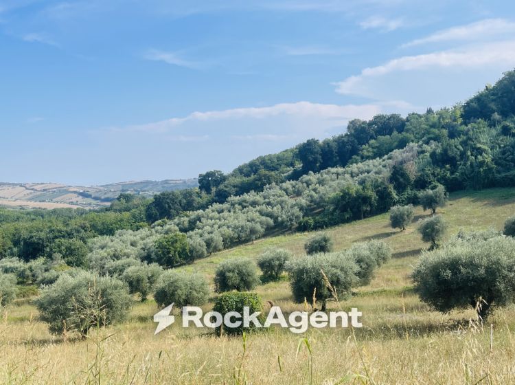 Terreno agricolo in vendita, via Sotto il Loco, Case Alte, Sant'omero