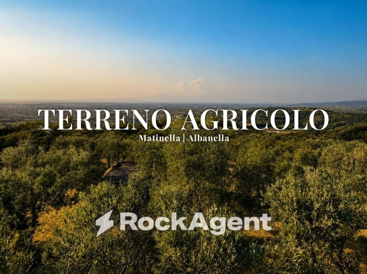 Terreno agricolo in vendita, via Difesa Monti, Matinella, Albanella