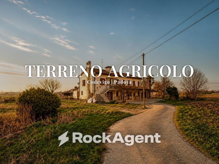 Terreno agricolo in vendita, via Bosco  29, Codevigo