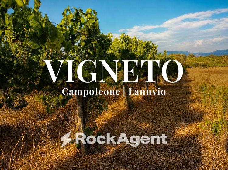 Terreno agricolo in vendita, via Formale Rotondo, Campoleone, Lanuvio