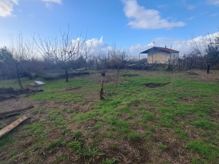 Terreno agricolo in vendita, via Cilento  8, Corbara