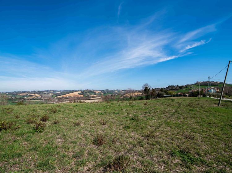 Terreno agricolo in vendita, Località Carignano, Fano