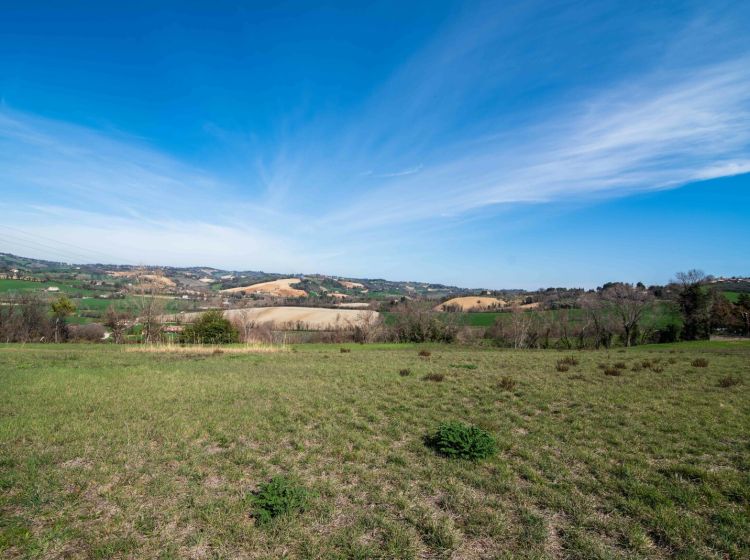 Terreno agricolo in vendita, Località Carignano, Fano