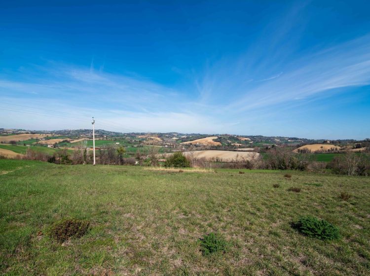 Terreno agricolo in vendita, Località Carignano, Fano