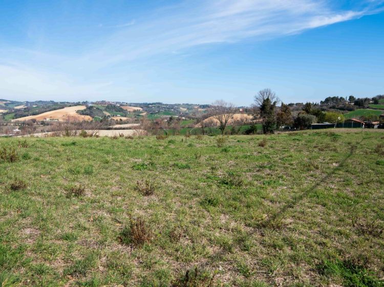 Terreno agricolo in vendita, Località Carignano, Fano