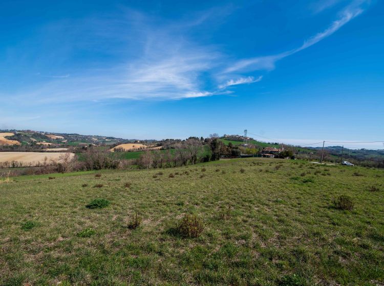 Terreno agricolo in vendita, Località Carignano, Fano