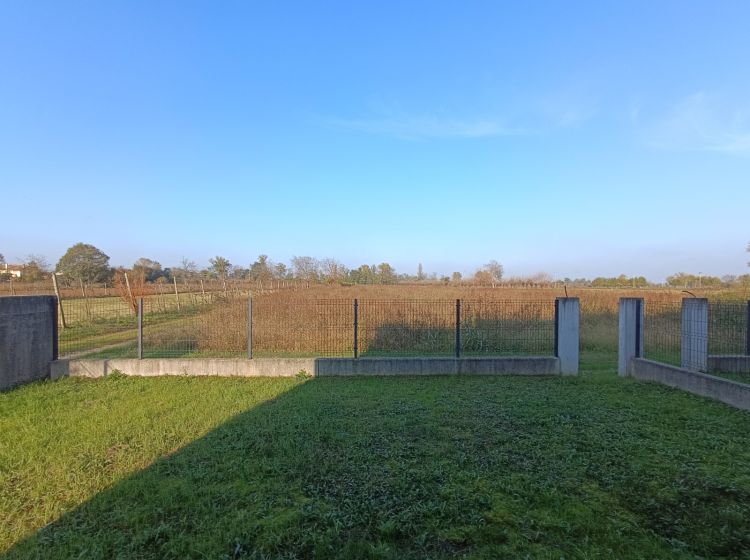 Terratetto plurifamiliare in vendita, via Fratelli Sartor, Cavasagra, Vedelago