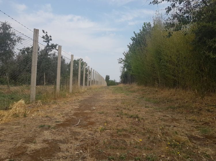 Terreno agricolo in vendita, via Sasso San Pellegrino, Periferia, Viterbo