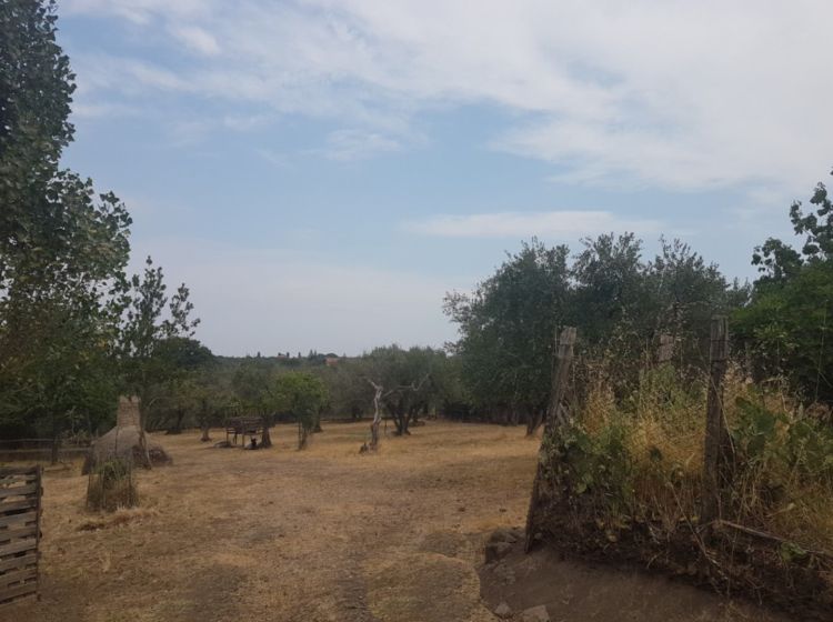 Terreno agricolo in vendita, via Sasso San Pellegrino, Periferia, Viterbo
