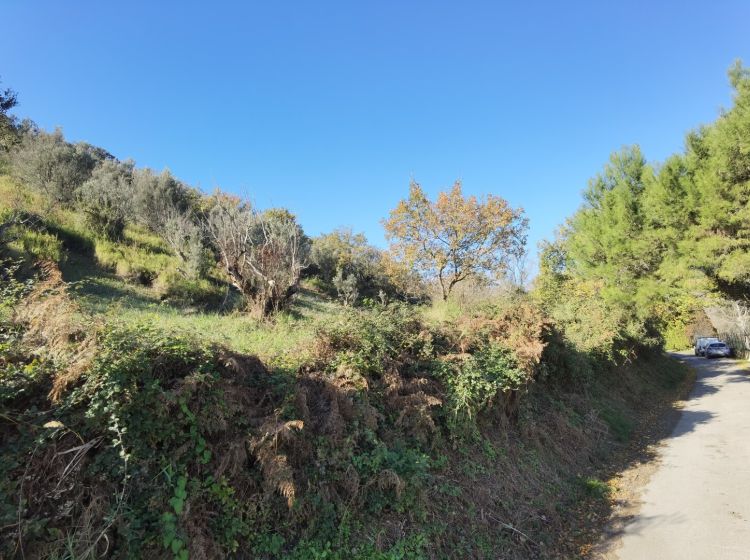 Terreno agricolo in vendita, Caraffa di Catanzaro  CZ  Italia, Caraffa Di Catanzaro