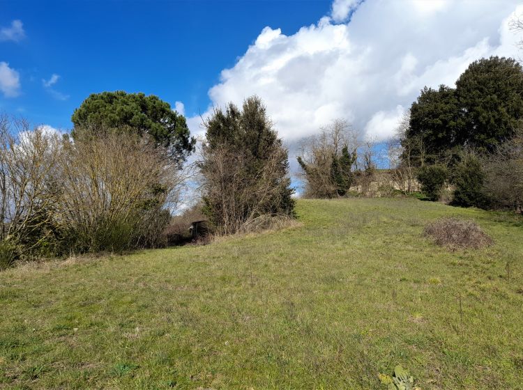 Terreno agricolo in vendita, Località la Villa snc, Acquapendente