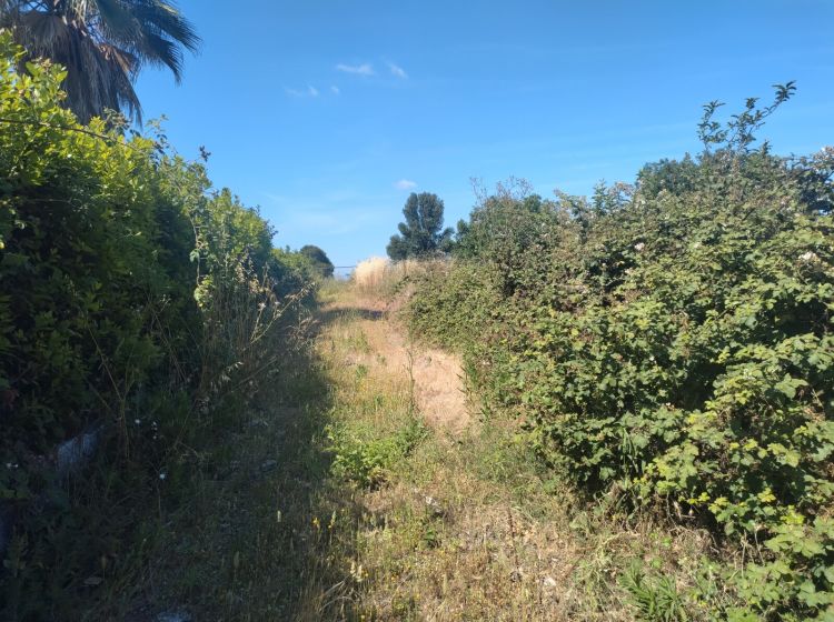 Terreno residenziale in vendita, via della Castelluccia di San Paolo, Castel di Leva, Roma
