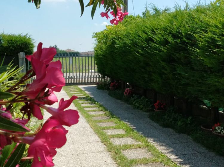 Villa in vendita, San Matteo della Decima, San Giovanni In Persiceto