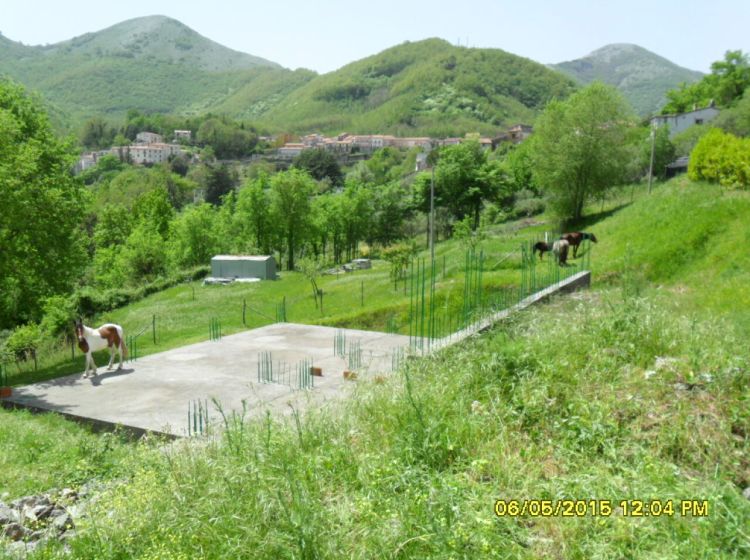 Terreno agricolo in vendita, Contrada Pietramorta, Trecchina