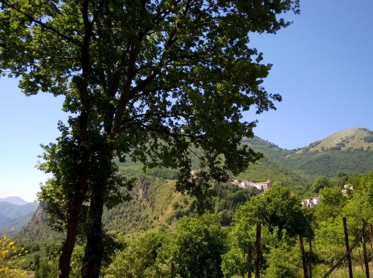 Terreno agricolo in vendita, Contrada Pietramorta, Trecchina