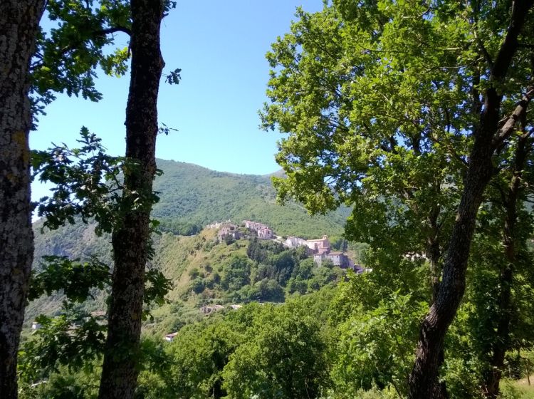 Terreno agricolo in vendita, Contrada Pietramorta, Trecchina