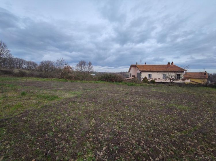 Terreno agricolo in vendita, via Capobianco, Montefiascone